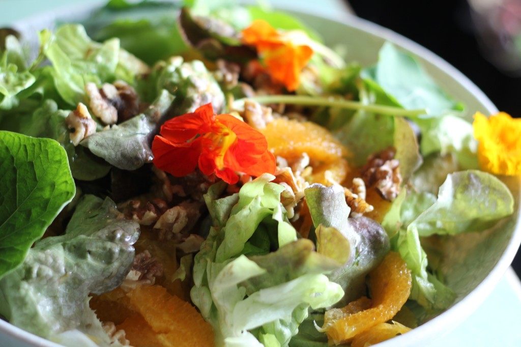 , Moroccan green leaf &#038; orange salad