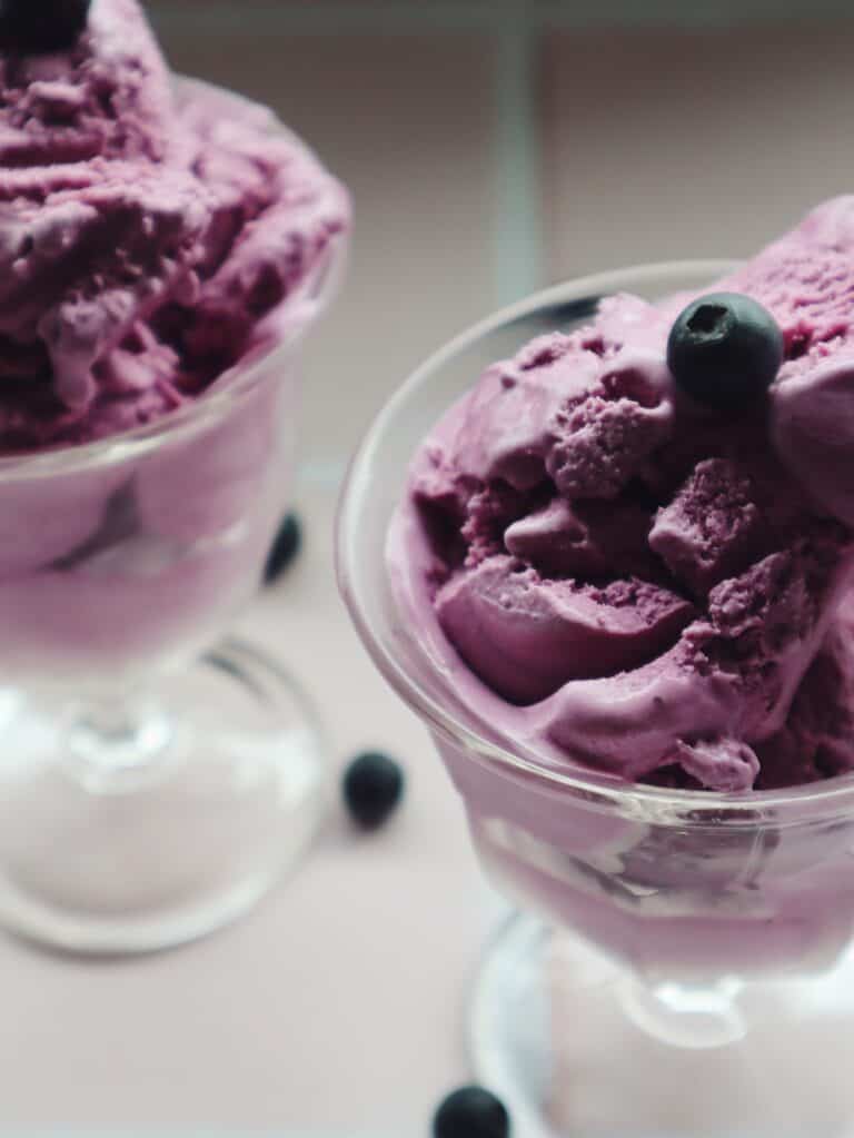 The Best Blueberry Frozen Yoghurt