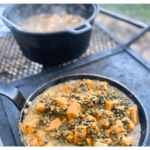 Sweet Potato and Lentil Creamy Curry