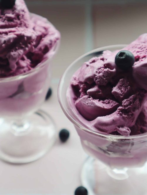 The Best Blueberry Frozen Yoghurt